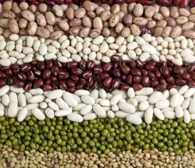 당뇨에-좋은-음식-건강