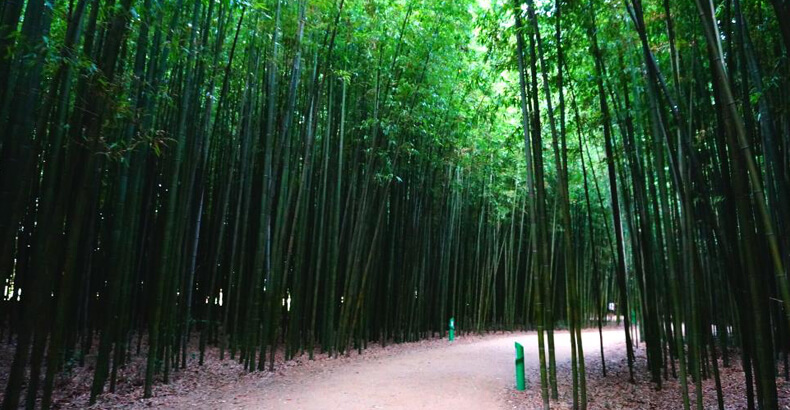 포항울산드라이브코스 태화강 국가정원십리대숲