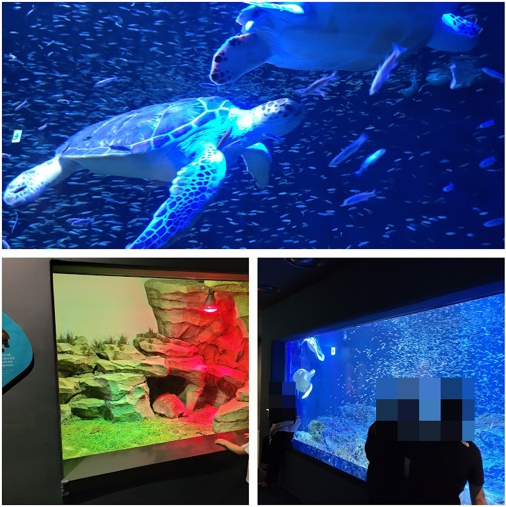 광교 아쿠아플라넷 다녀온 후기 사진 5