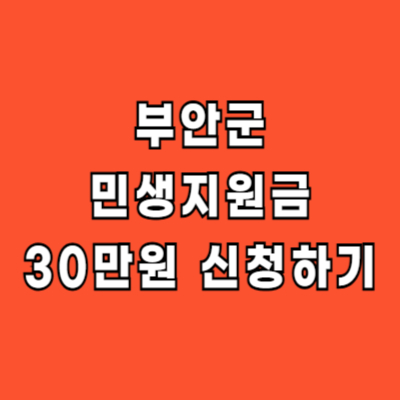 부안군 민생지원금 30만원 신청