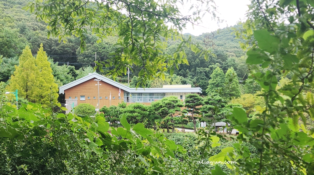 숲속의 화명수목원