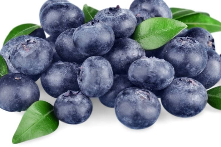 기억력 향상에 긍정적인 영향을 주는 블루베리