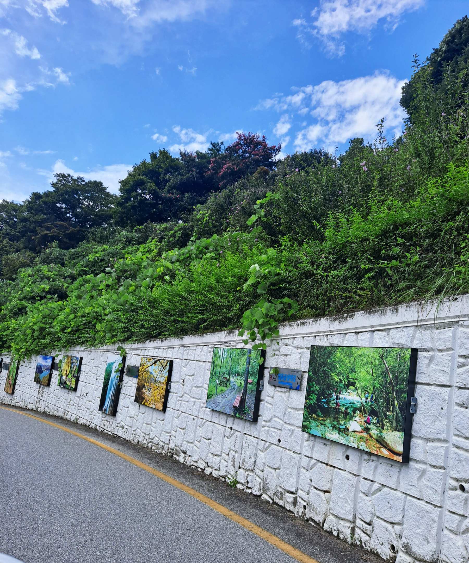 청풍랜드 가는길 사진작품