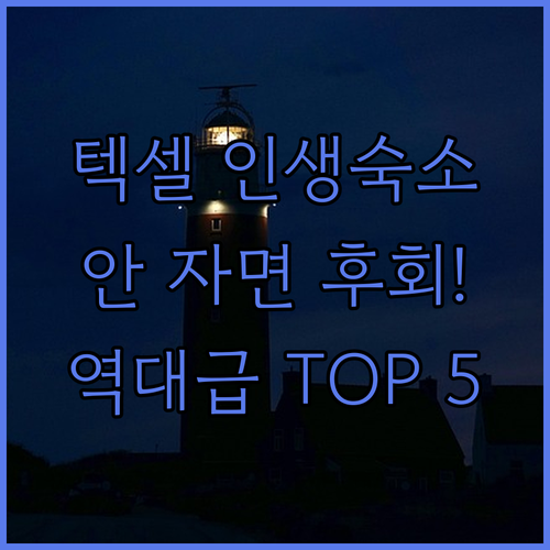 네덜란드 텍셀 여행 가서 여기 안 자..