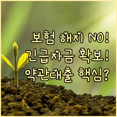 보험 해지 없이 자금 확보 신한라이프..