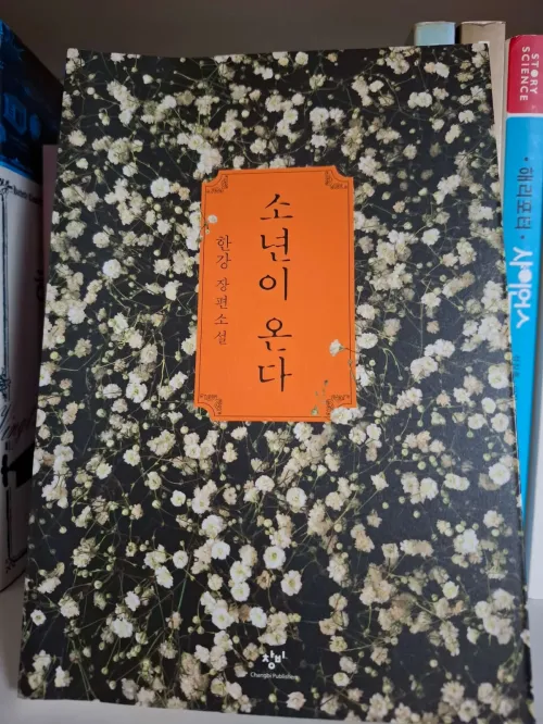 한강 작가의 소설 소년이 온다 책 표지와 그 뒤로 보이는 고요한 배경(Book cover of 'Human Acts' by Han Kang with a calm background)