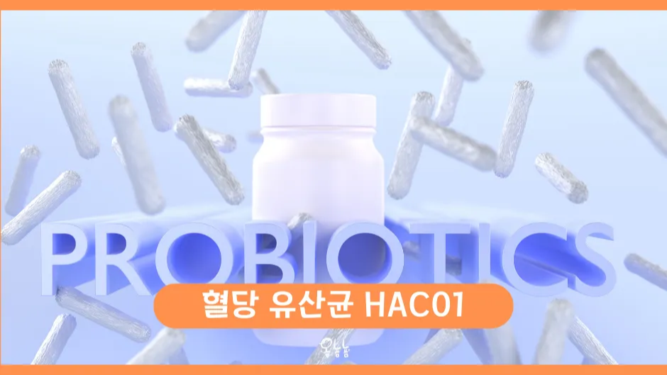 혈당 유산균 HAC01