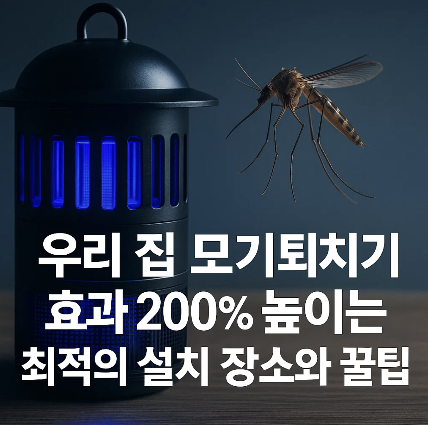 우리 집 모기퇴치기 효과 200% 높이는 최적의 설치 장소와 꿀팁