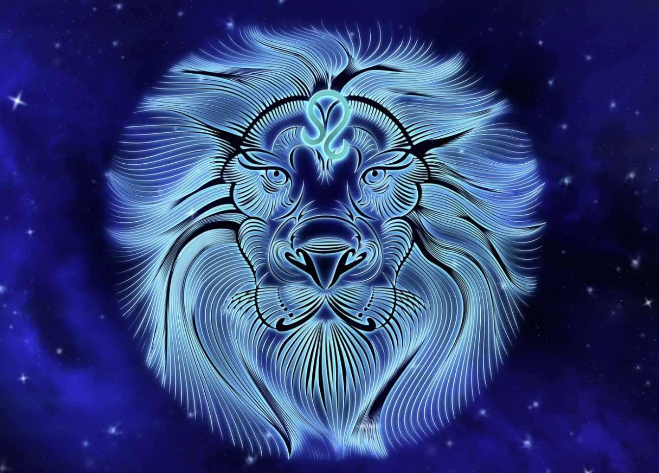 재미로 보는 나의 별자리 11월 운세