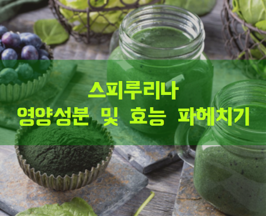 스피루리나 분말이 병에 담겨있는 사진