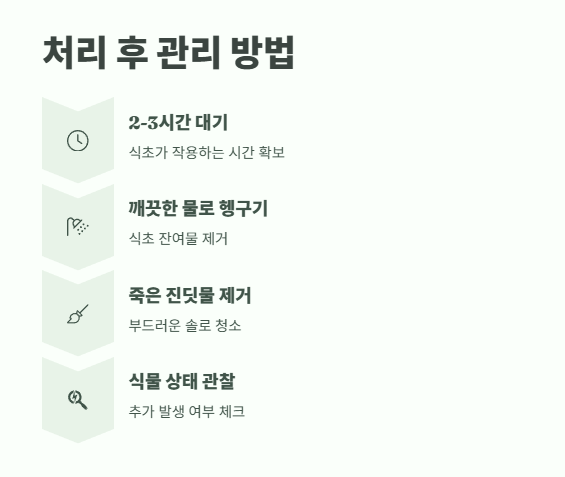 진딧물 천연 살충제 식초로 해결하는 완벽 가이드 7