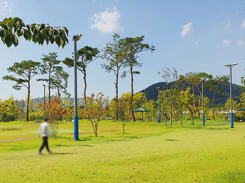 세종중앙공원 파크골프장. 세종특별자치시 중앙공원로 60 (세종중앙공원 내)