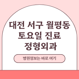 대전 서구 월평동 토요일 정형외과 진료 병원