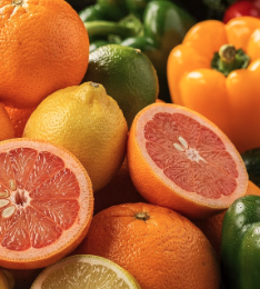 비타민C 많은 대표 이미지 오랜지