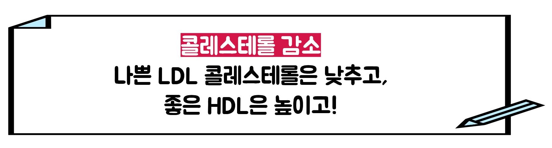 비트 효능
