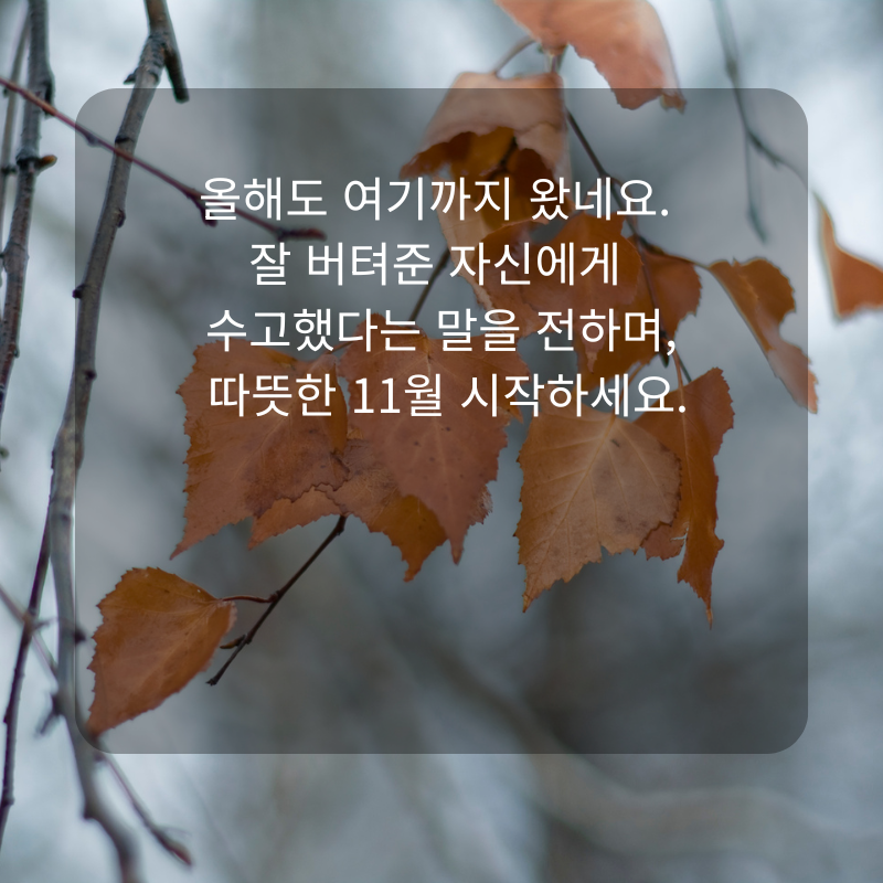 11월 인사말 문구 이미지 가을 겨울 인사글 모음집