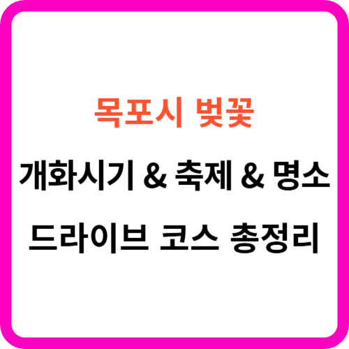 목포 벚꽃 개화시기 축제 명소 드라이브 코스 총정리