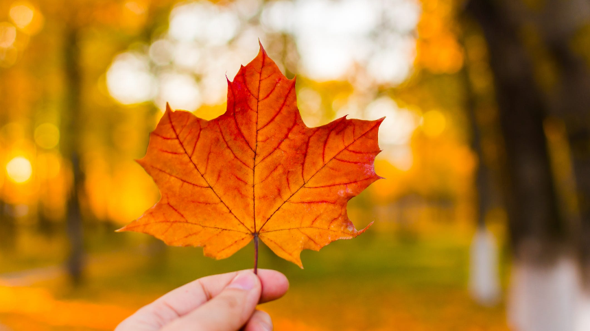 계절의 변화를 세분화한 24 절기 중 '추분' 이해하기
