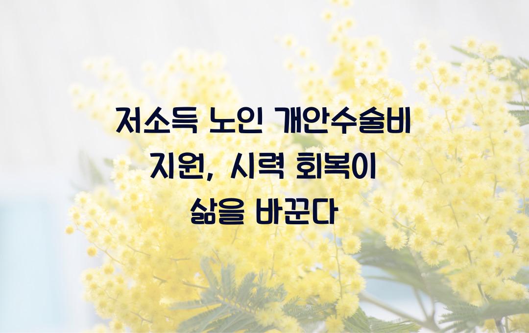 저소득 노인 개안수술비 지원, 시력 회복으로 삶의 질 높이기