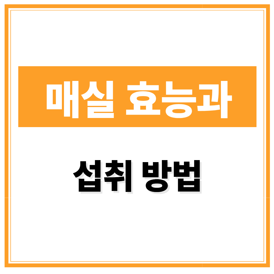 매실 효능