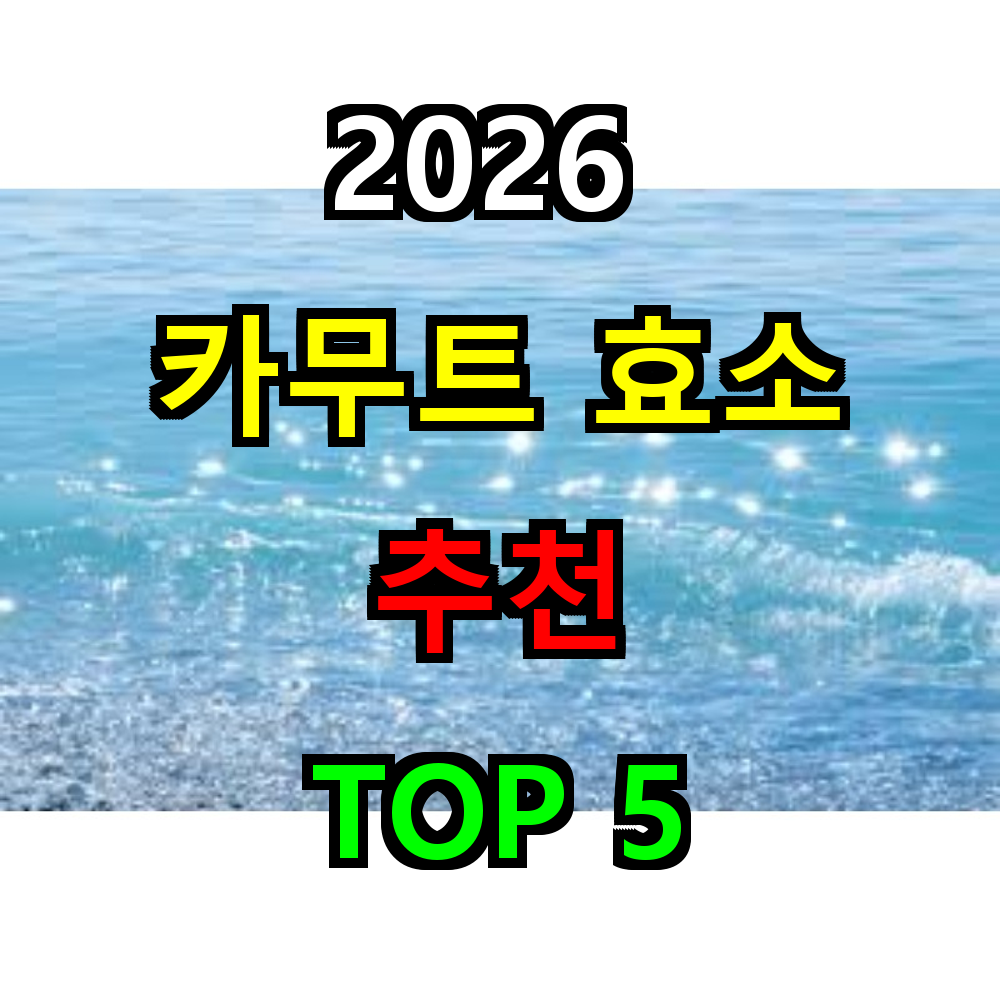 2026 카무트 효소 추천 TOP 5