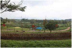 요천생태습지공원