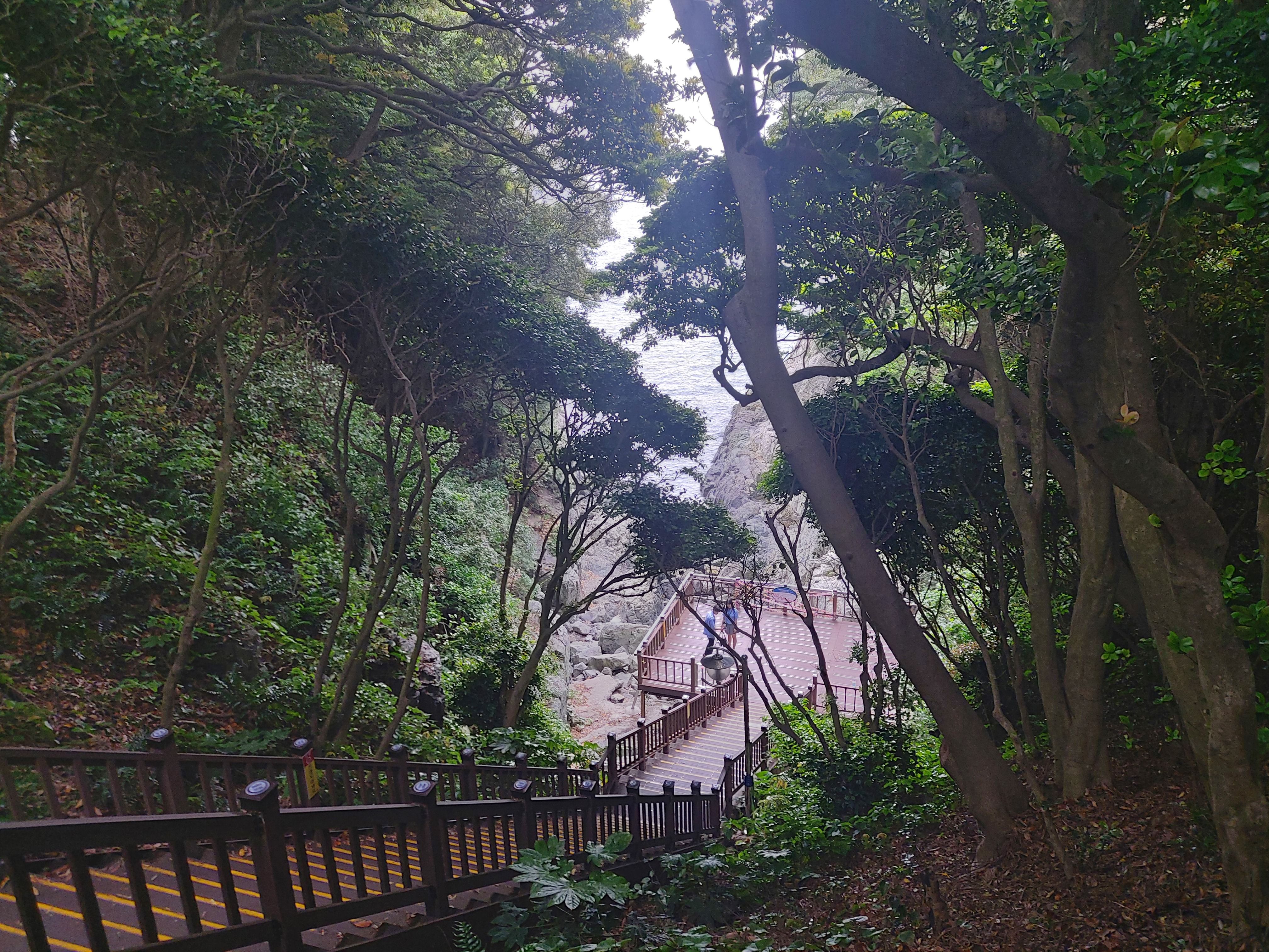 여수 오동도 카페