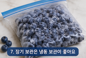 블루베리 세척법 제대로 알고 먹어야 하는 이유, 농약 걱정 줄이는 방법 총정리2