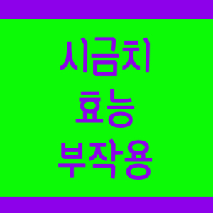 시금치 효능 부작용 살펴보기