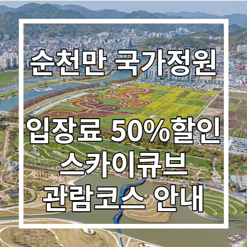 드론으로 먼 상공에서 찍은 순천만국가정원과 수천도시의 모습