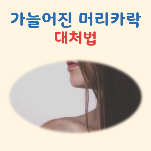 가늘어진 머리카락 대표 이미지