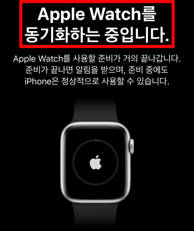 애플워치6 40mm 가격