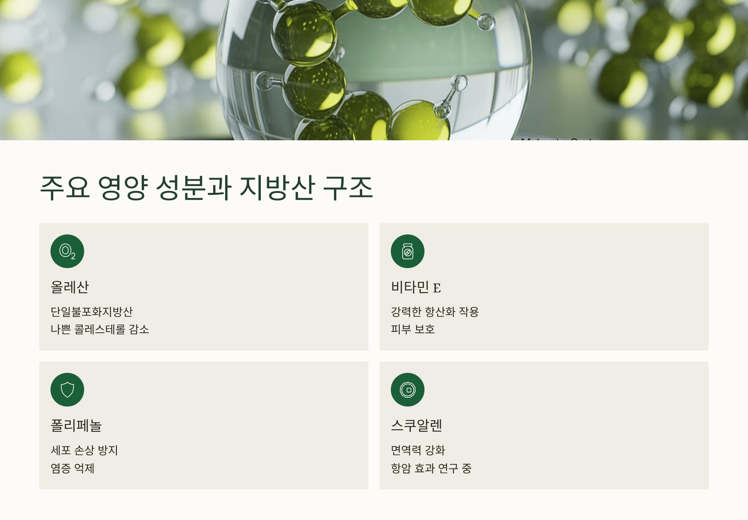 올리브 오일 효능