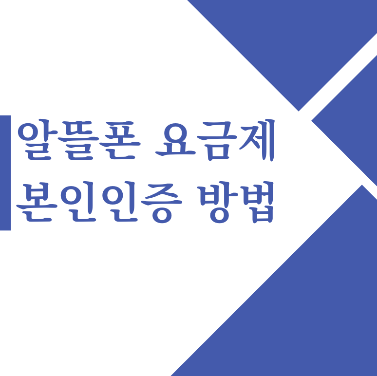 알뜰폰 요금제 본인인증 방법 확인하기 한 눈에 보기(+2024)