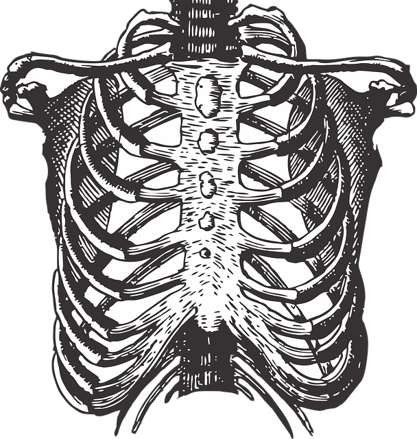 오른쪽갈비뼈아래통증