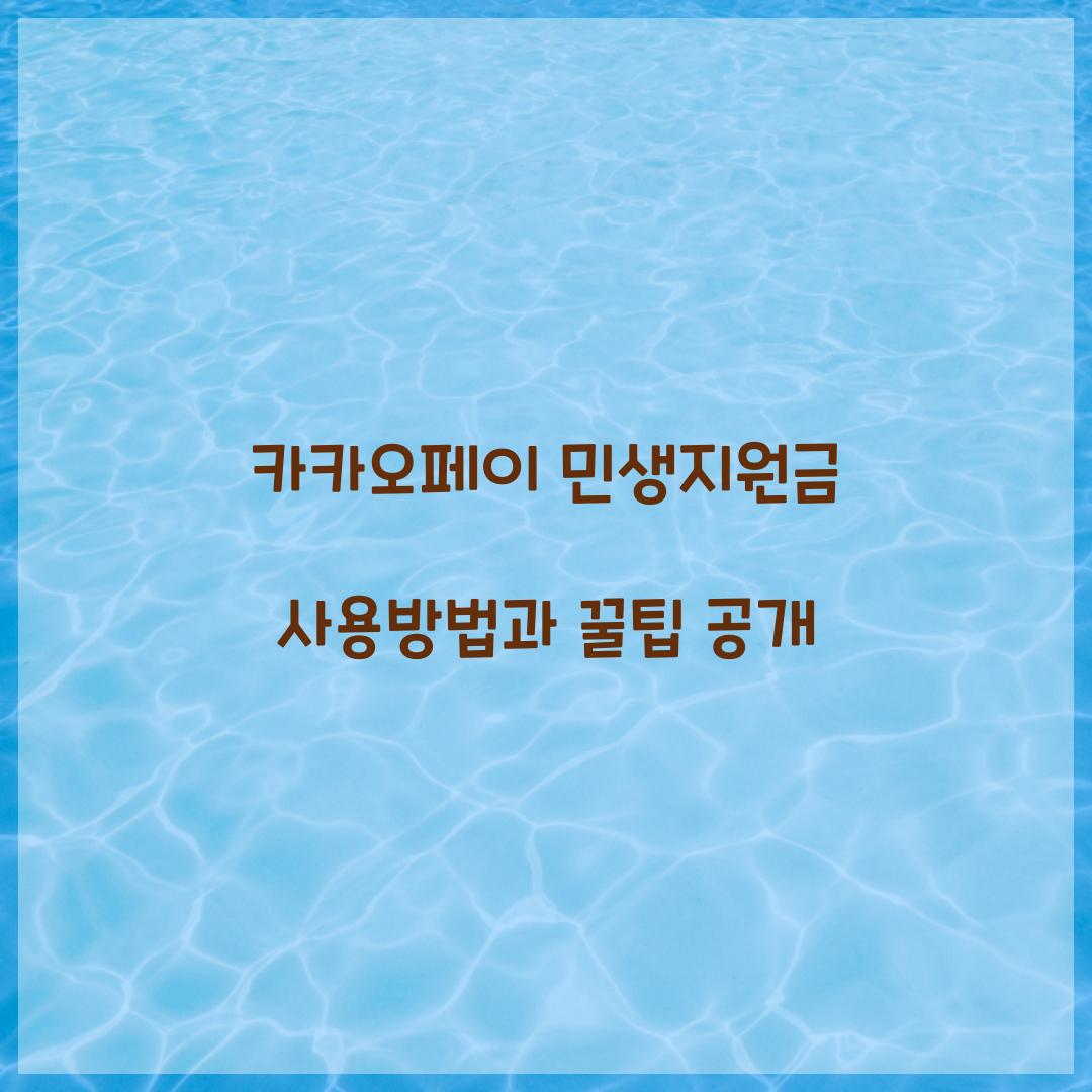 카카오페이 민생지원금 사용방법