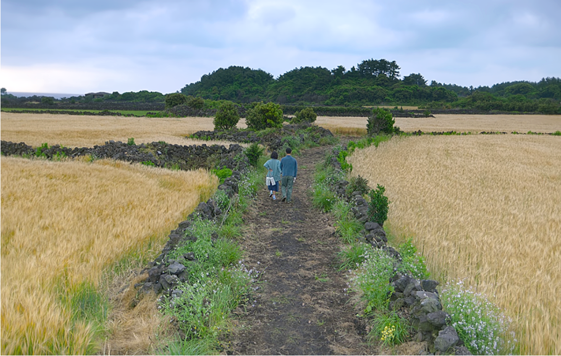 "폭싹 속았수다", 제4화 "꽈랑꽈랑 여름" 대표사진