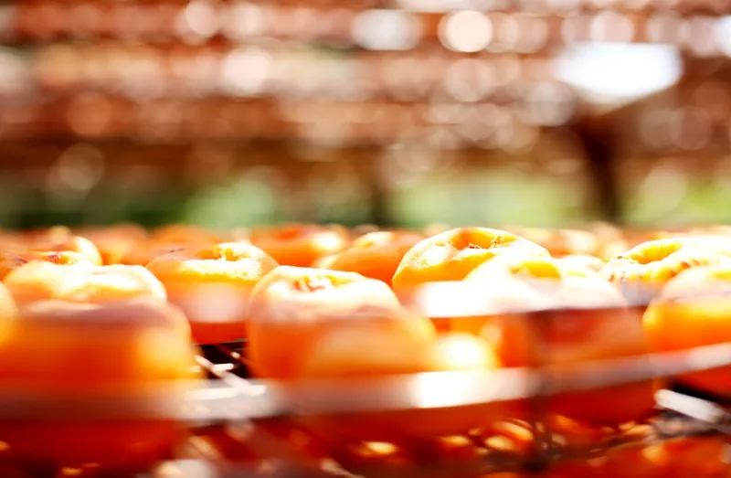 대만 타이베이 여행 꿀팁