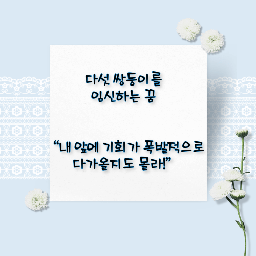 임신하는 꿈해몽