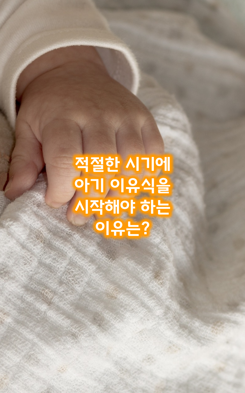 적절한시기이유식시작