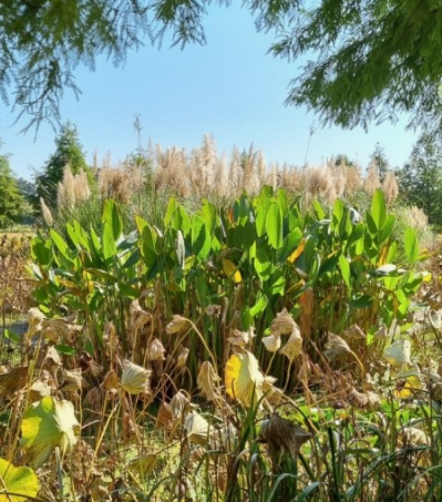 태안 청산수목원 여행지