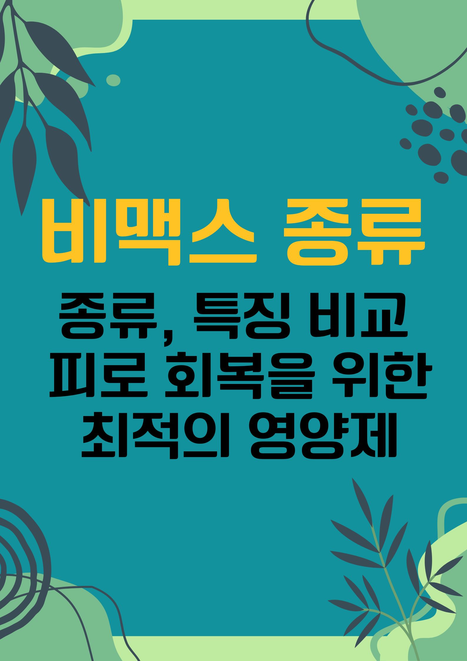 비맥스 종류와 특징 비교 : 피로 회복을 위한 최적의 영양제 가이드