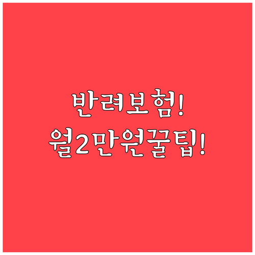 반려동물 보험, 월 2만원대로 큰 병..