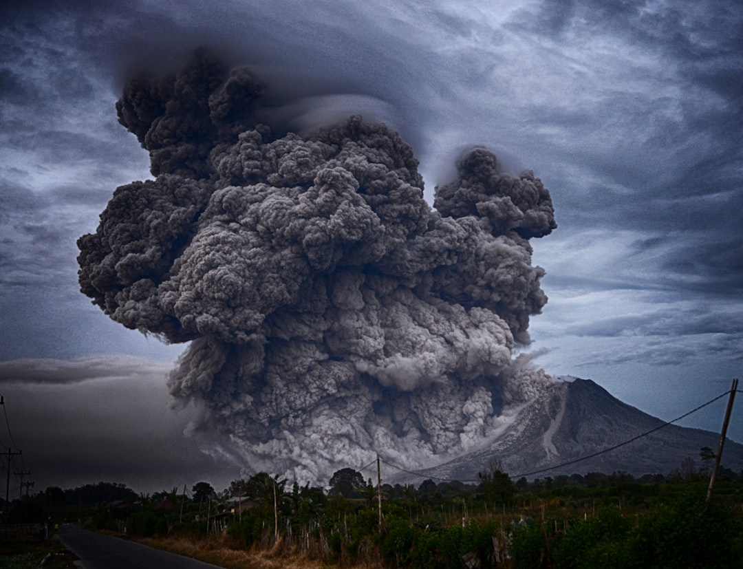 Disaster Insurance