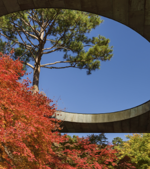 2025 화담숲 단풍축제 예약 완벽 가이드 &amp;#124; 절정시기&middot;꿀팁 총정리