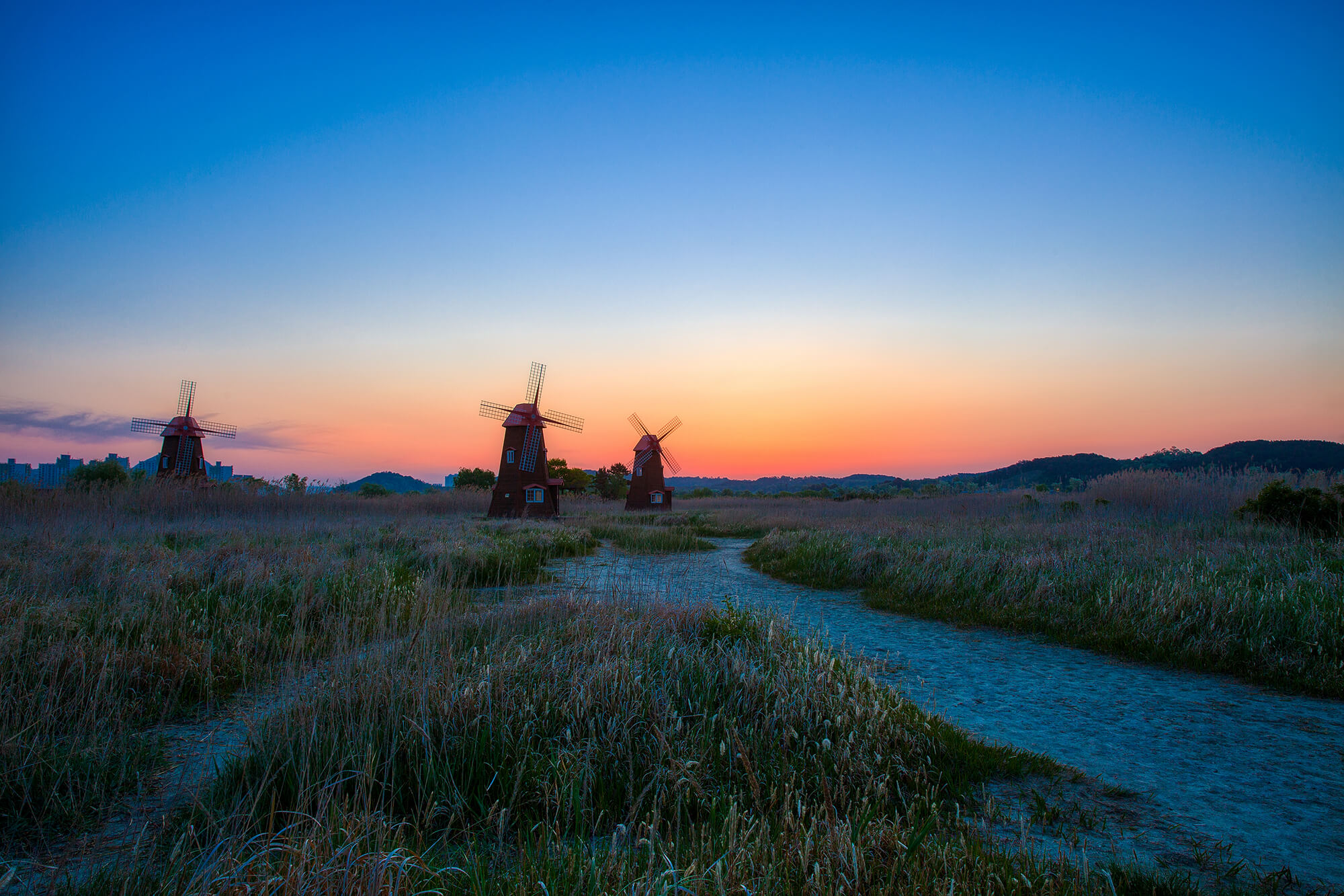 소래습지생태공원 여명2