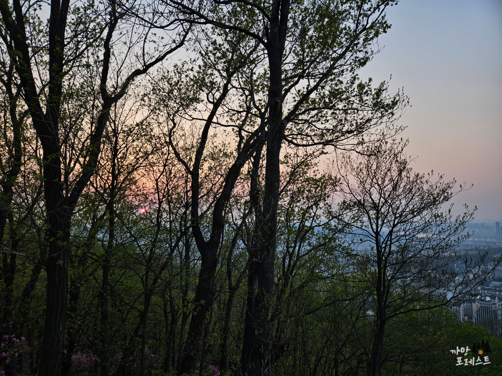 우면산 일몰 방향