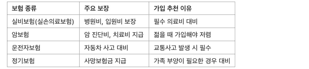 보험 가입 전 꼭 알아야 할 사회초년생 필수 보험 종류, 사회초년생 필수 보험 TOP 4