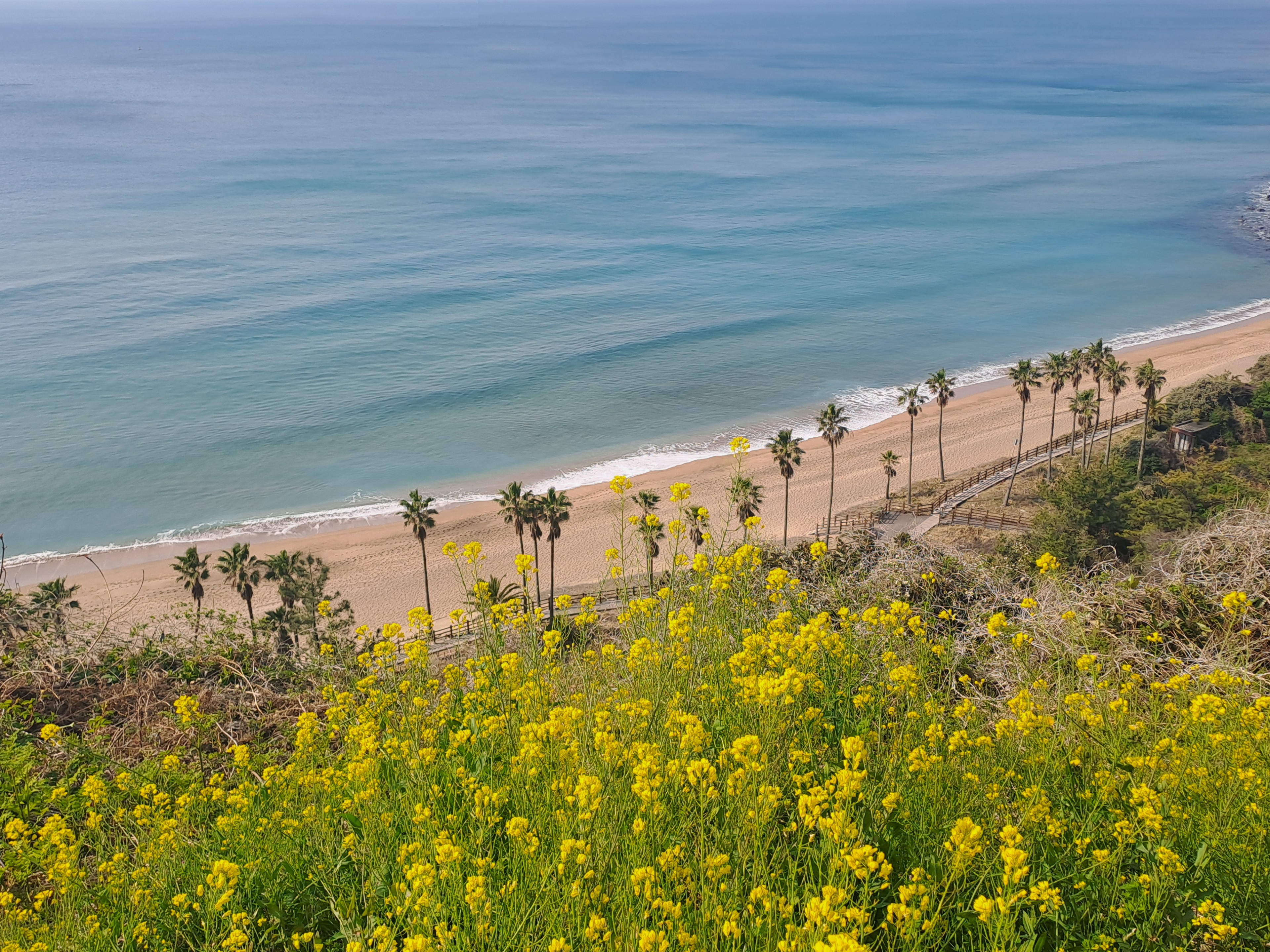 5월 제주도가족여행 중문해수욕장