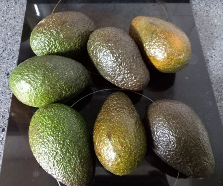 아보카도 효능 건강효과 먹는 법 고르는 법